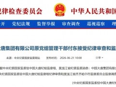 中國大唐一人被查!